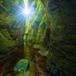 Canyon River: Birds & Water Sound