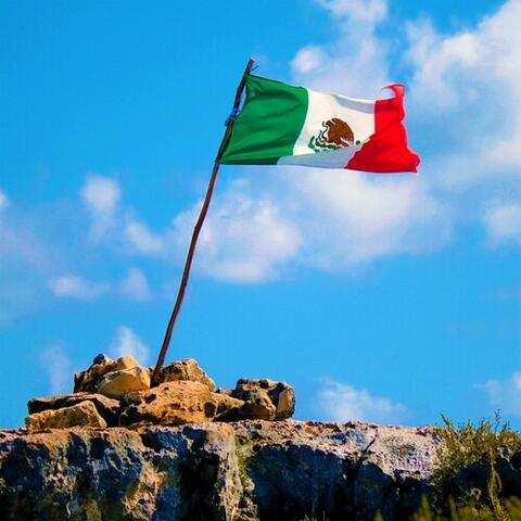 Flag in the Wind: Relaxing Wild Nature