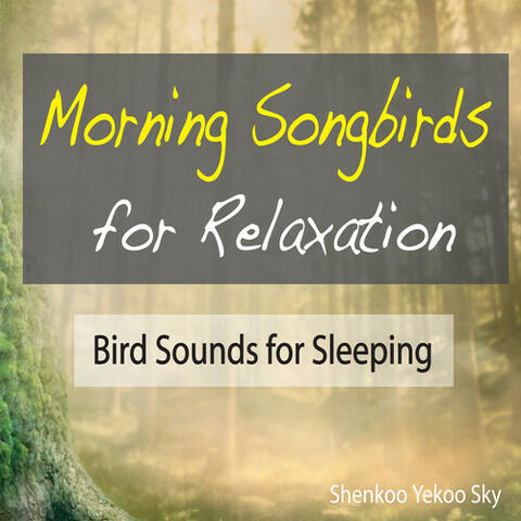 Morning Songbirds for Relaxation: Bird Sounds for Sleeping