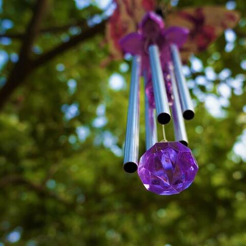 Wind Chime in Nature: Evening with Birds & Crickets
