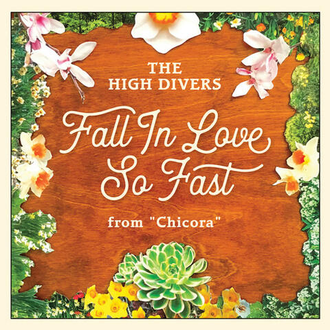 Fall in Love so Fast