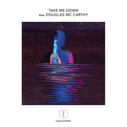 Take Me Down