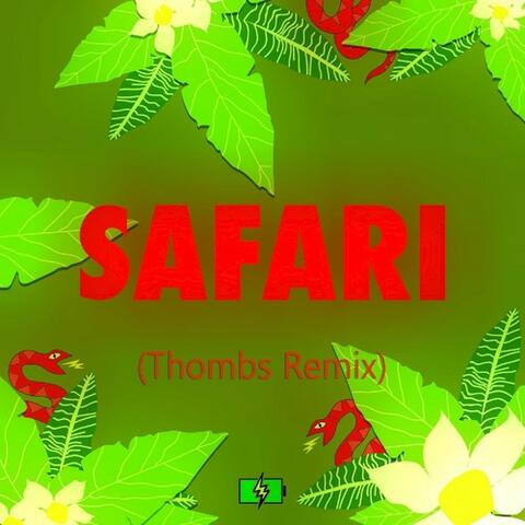 Safari