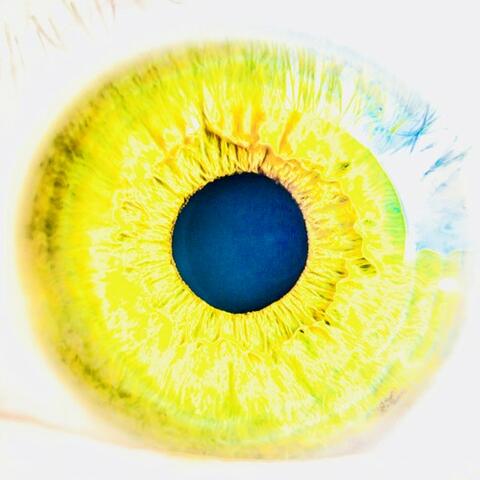I Can See Stars