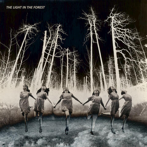 The Light in the Forest