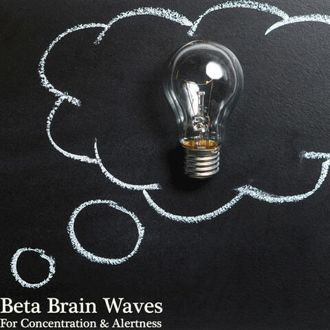 Beta Brain Waves for Concentration & Alertness