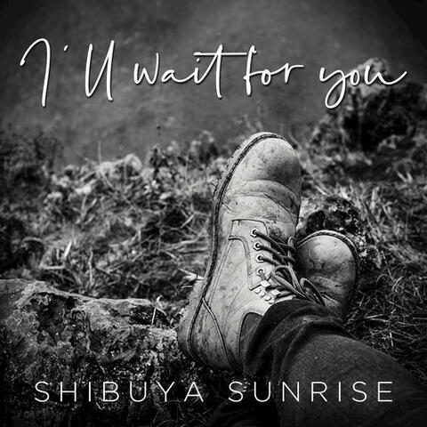 I'll Wait for You