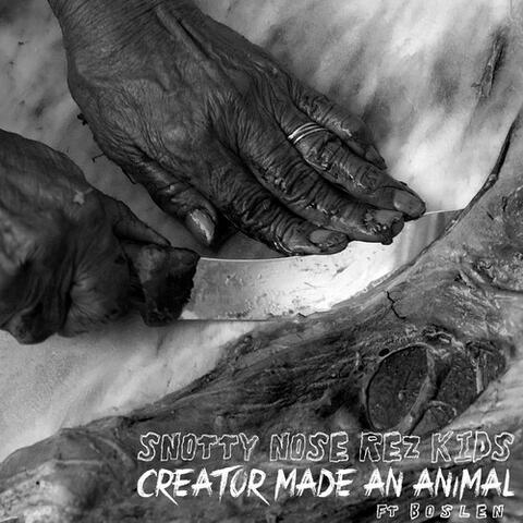 Creator Made an Animal