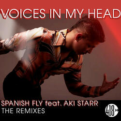 Voices In My Head