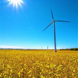 Wind Turbine in Summer - Relaxing Nature Sound - Flower Sun Bee