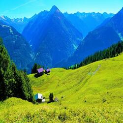 Mountain Nature: Relaxing Wind, Bug, and Bee Sounds