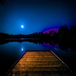 Frogs in the Night: Nature Evening Sound