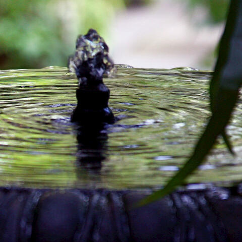 Black Forest Fountain - Single