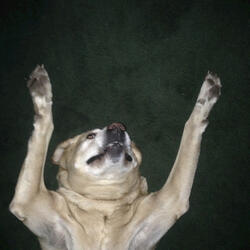 Numb and Cold, No Shame No Guilt