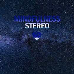 What's Important to You