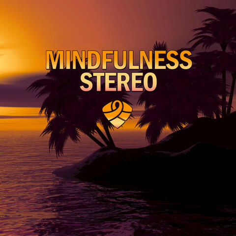 Mindfulness Stereo, Vol. 4