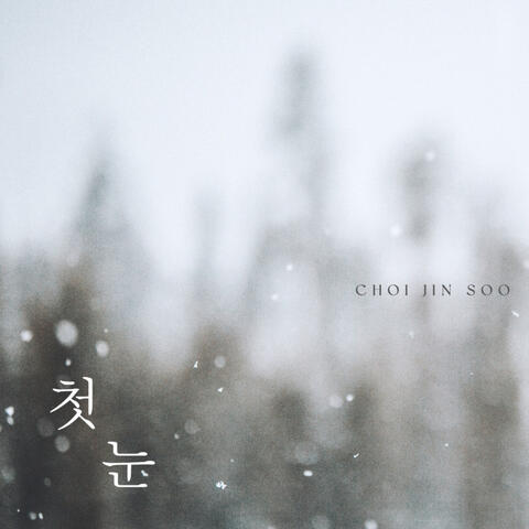 첫눈