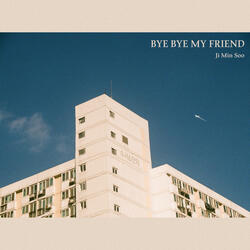 Bye bye my friend