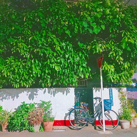 Waltz in small garden
