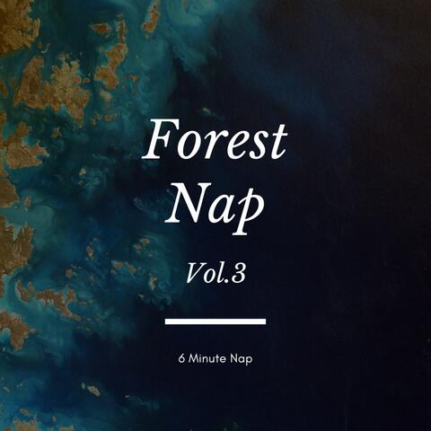 숲속낮잠 Vol. 3