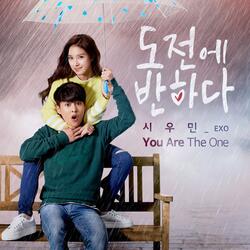 You Are The One Instrumental