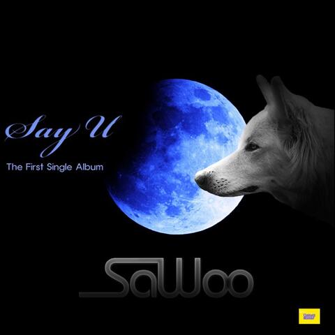 Say U