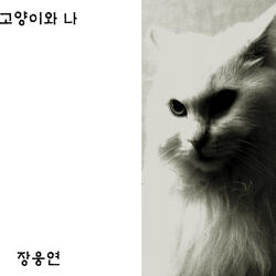 고양이와 나
