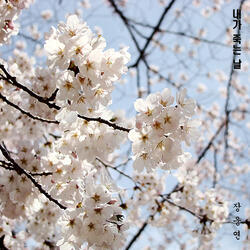 내가 죽는 날 Instrumental