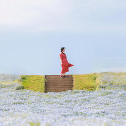Sweet Dream