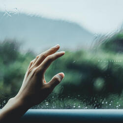 Rainy Season
