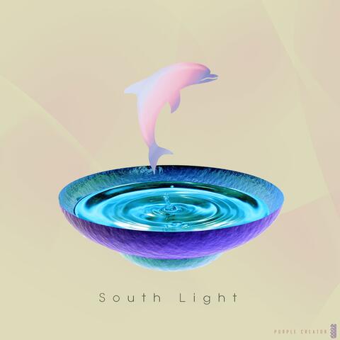 Like Dolphin