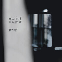 보고싶어 미치겠다 instrumental
