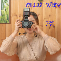 Blue Bird Instrumental