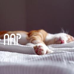 Nap