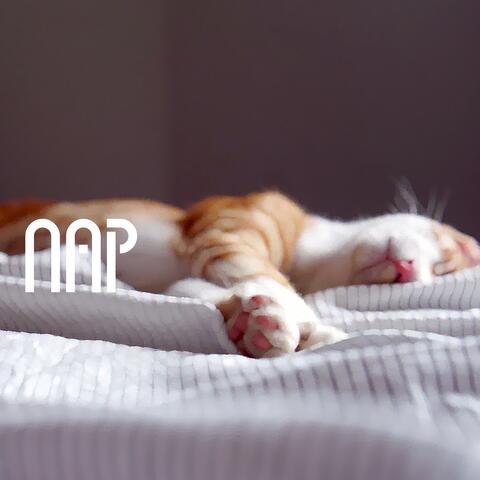 Nap