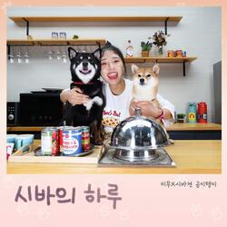 시바의 하루 (From 유튜브 채널 "시바견곰이탱이")