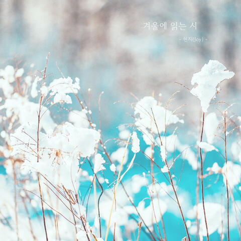 겨울에 읽는 시