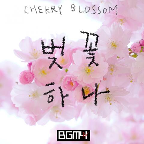 Cherry Blossom