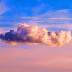 Day Dream