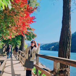 Confession of love for cherry blossoms (feat. biggyradio) [English 2 Version]