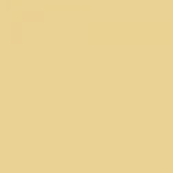 Cash Out (feat. DNYDK)