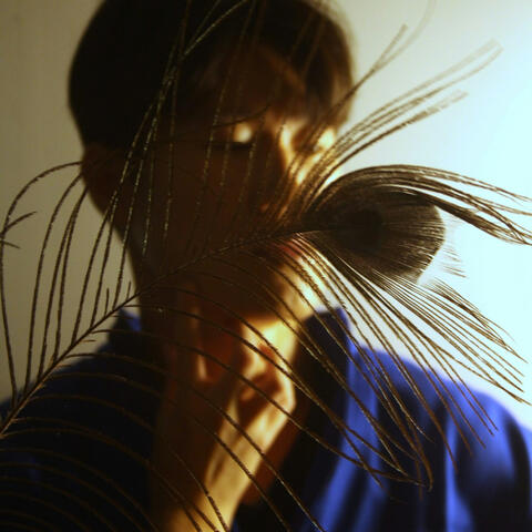 Shimmer