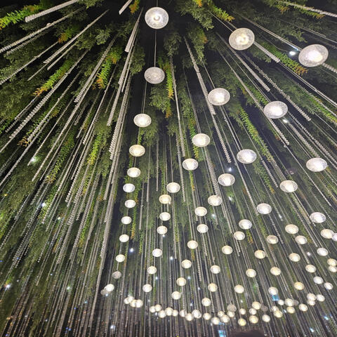 Lighting