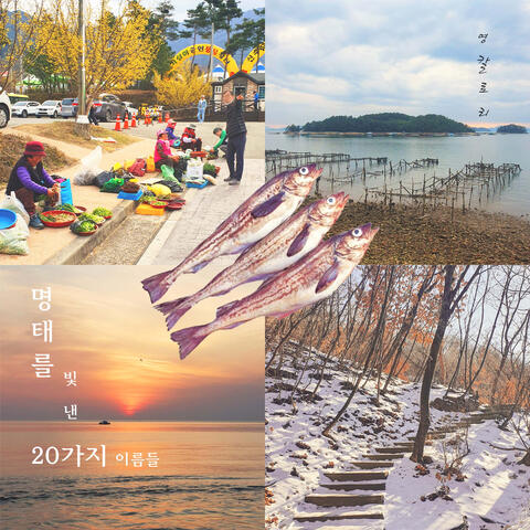 명태를 빛낸 20가지 이름들