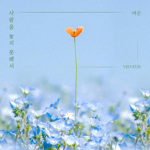 사랑을 놓지 못해서