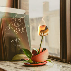 넌 내가 보고 싶지 않나봐