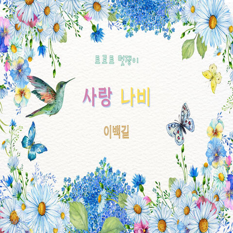 사랑 나비
