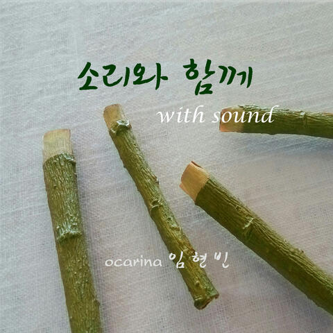 with sound