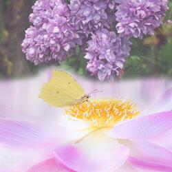 마음을 녹여주고 위안과 휴식을 주는 따뜻한 감성 피아노자장가 뉴에이지 8 - 세포까지 쉬게 해주는 피아노자장가