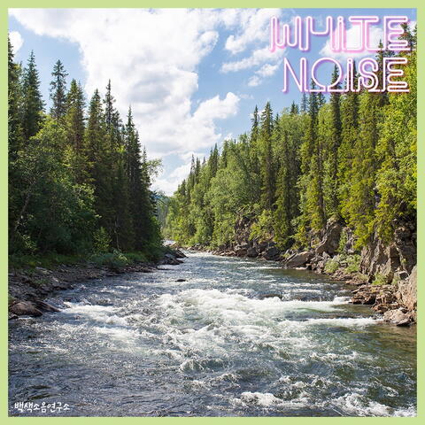 White Noise Pt. Jiam Valley